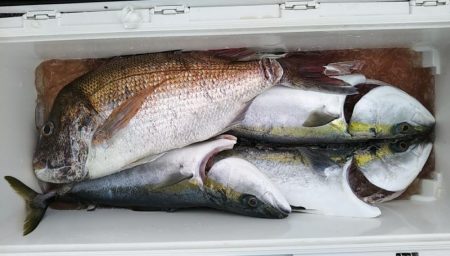 康仁丸・ジギング釣り果